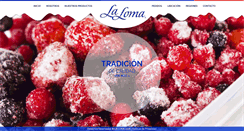 Desktop Screenshot of laloma.com.mx